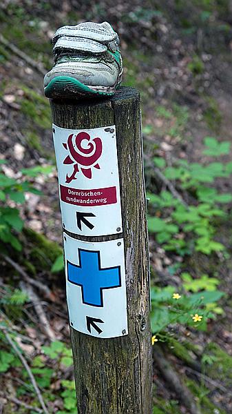 Foto:: Dornroeschenwanderweg / Doerrenbach / 20.07.2021 (Foto,Fotos,Bilder,Bild,)