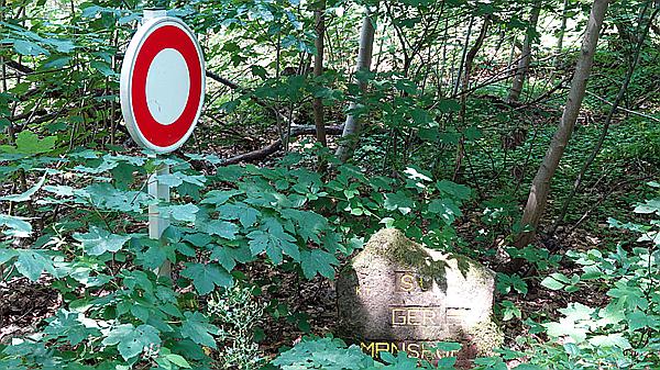 Foto:: Dornroeschenwanderweg / Doerrenbach / 20.07.2021 (Foto,Fotos,Bilder,Bild,)