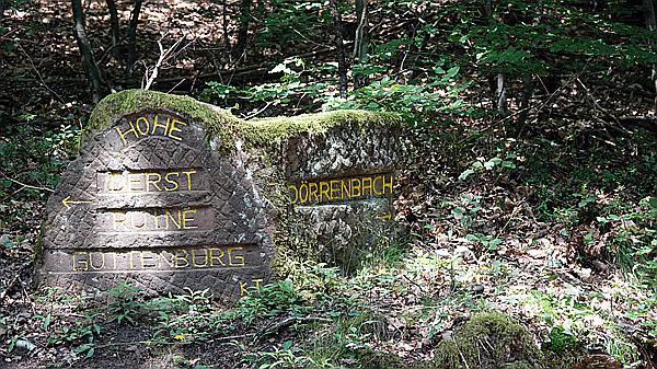 Foto:: Dornroeschenwanderweg / Doerrenbach / 20.07.2021 (Foto,Fotos,Bilder,Bild,)