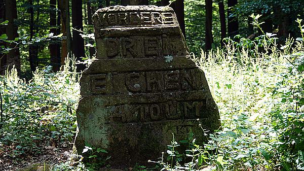 Foto:: Dornroeschenwanderweg / Doerrenbach / 20.07.2021 (Foto,Fotos,Bilder,Bild,)