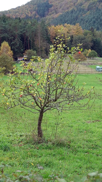 Foto:: Kurzurlaub im Herbst in Heuchelheim 2022 / Short autumn vacation in Heuchelheim 2022 (Foto,Fotos,Bilder,Bild,)