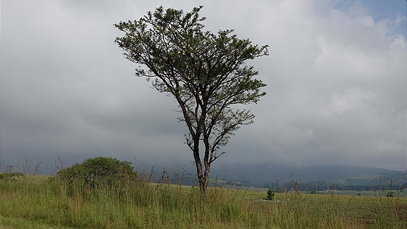 Foto:: Drakensberg Boys Choir / Cathkin Park / 25.03.2023 (Foto,Fotos,Bilder,Bild,)