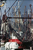 Foto SP_1118_32024: Hafen / Greetsiel / 02.10.1978