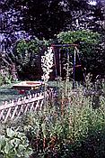 ID: 209: Garten / Westhofen / Juli 1990