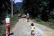 ID: 209: Tour nach / Baracoa / 03./04.051992