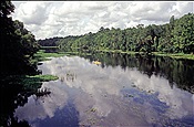 ID: 209: Flusslandschaft / Florida / 17.07.2005