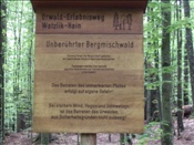 Foto SP_2006_05736: Reisen / Bayerischer Wald / 2006