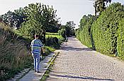Foto SP_2007_07016: Reisen / Polen / Sommer 2007