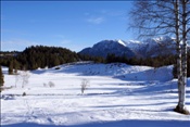 ID: 209: Winterurlaub Bayern 2009 / Winter vacation Bavaria 2009