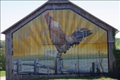 ID: 209: Chicken Farm / West Hempfield, PA / 05.05.2010