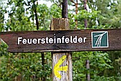 ID: 209: Feuersteinfelder / Ruegen / 26.09.2013