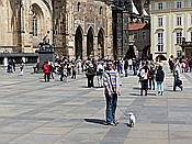 ID: 209: Stadttour / Prague / 09.05.2014
