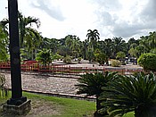 ID: 209: Botanischer Garten / Santo Domingo / 11.06.2014