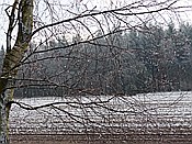 Foto SP_2014_12723: Winterwanderung / Oberhaverbeck / 26.12.2014