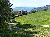 Foto SP_2017_05632: Wanderung / Oberinn - Oberbozen - Oberinn / 28.05.2017